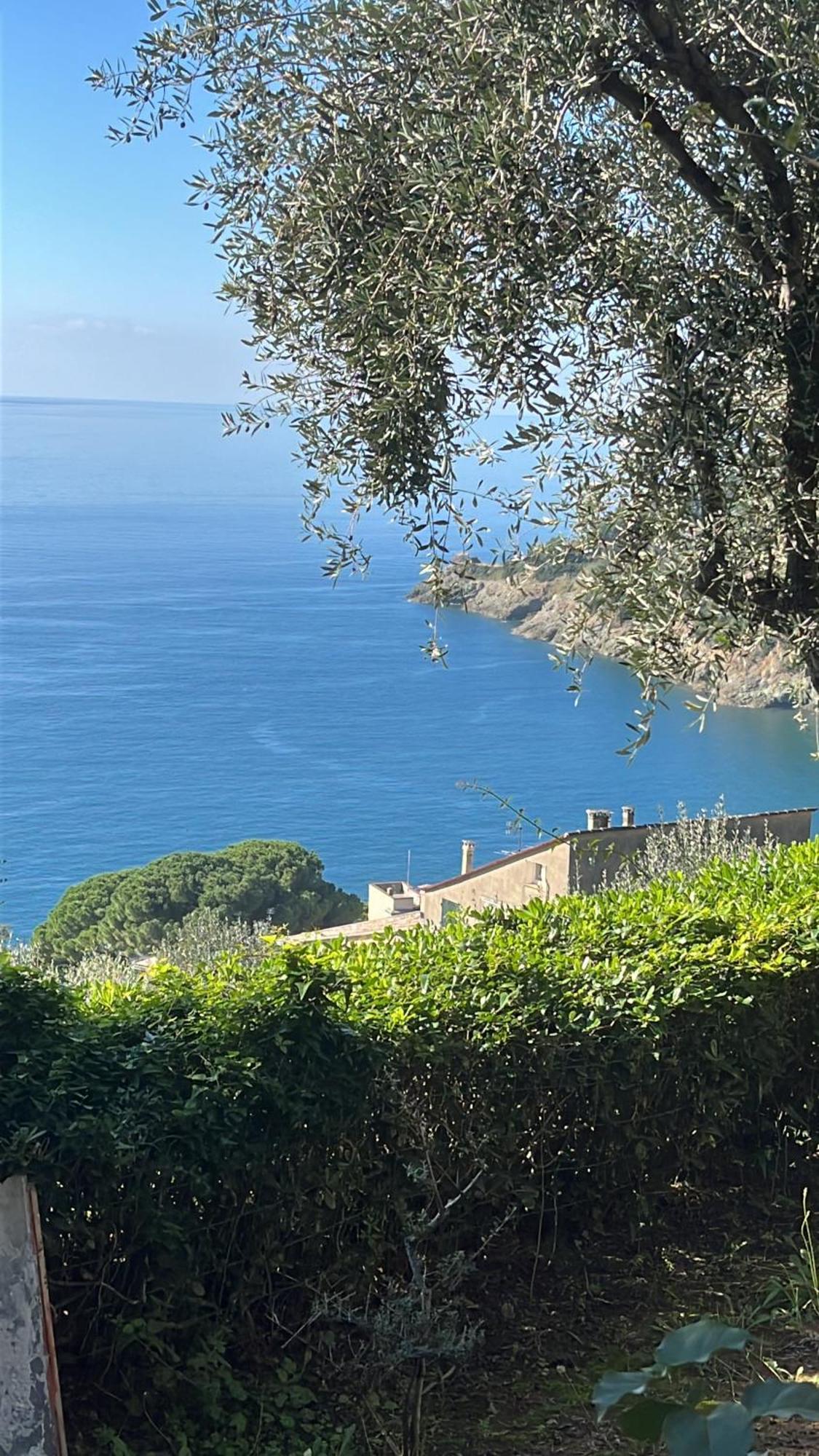 Casa Orchidea - Vista Mare Meravigliosa Bonassola Extérieur photo