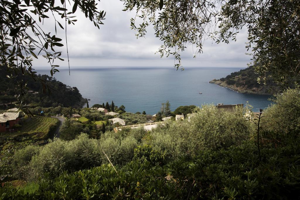 Casa Orchidea - Vista Mare Meravigliosa Bonassola Chambre photo